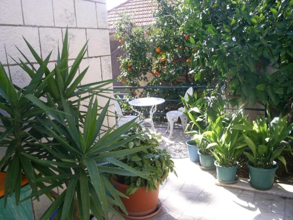 Dubrovnik Sea View Apartment Eksteriør bilde